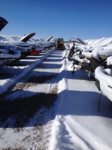 FIRST SNOW CLEANING1 2014