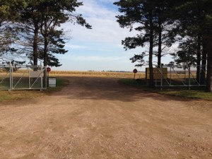 ROAD BEFORE PAVED 3